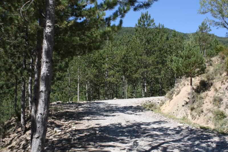PyreneesAugust2011377.jpg