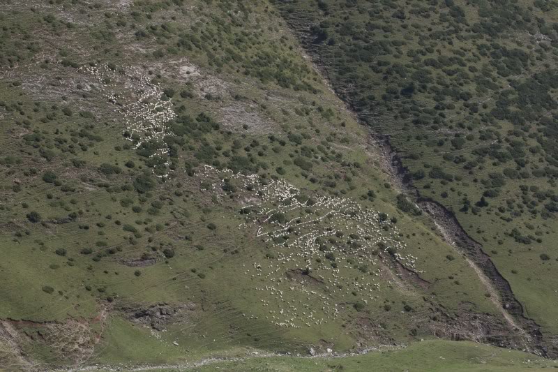 PyreneesAugust2011523.jpg