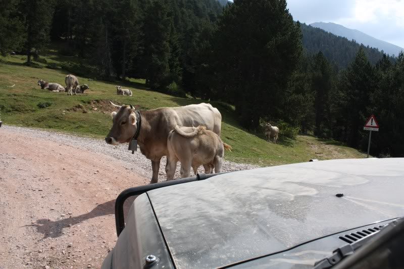 PyreneesAugust2011606.jpg