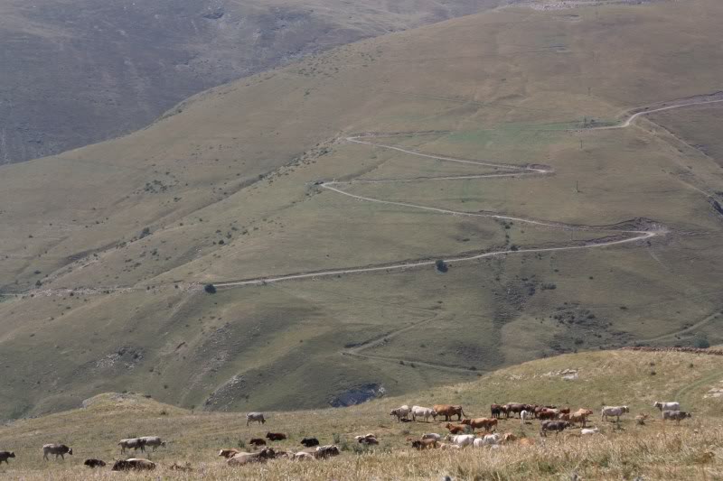 PyreneesAugust2011758.jpg