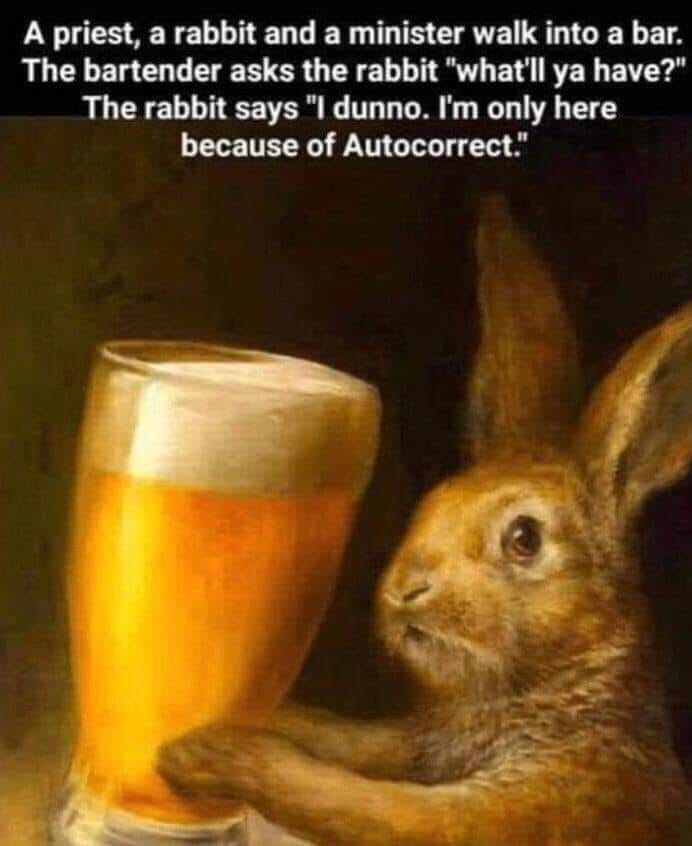 rabbit.jpg