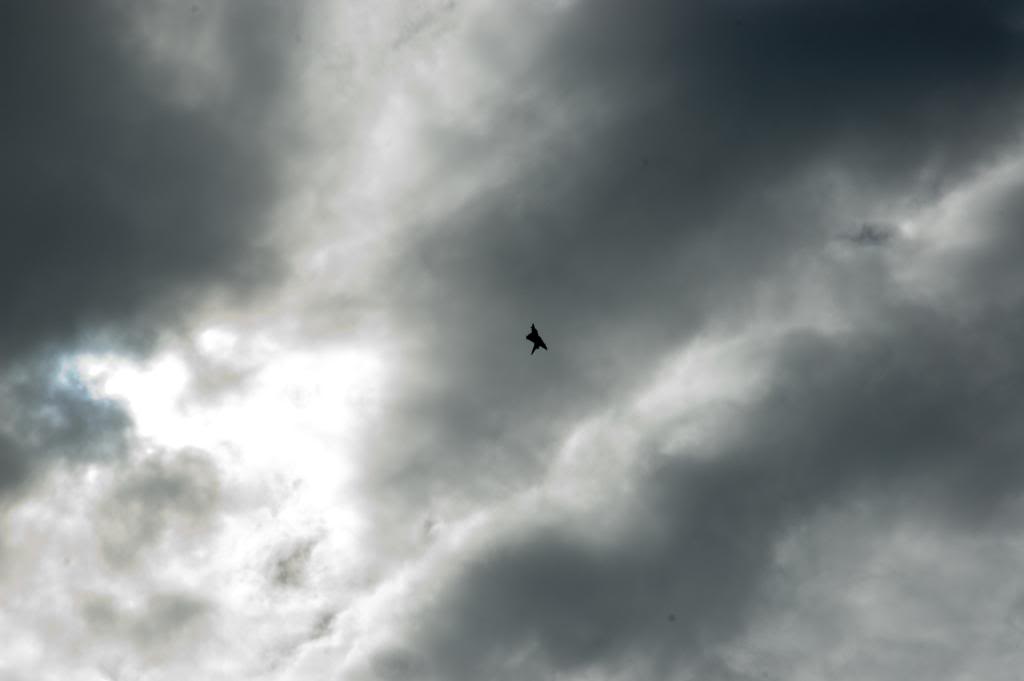 RAF_Leuchars068.jpg