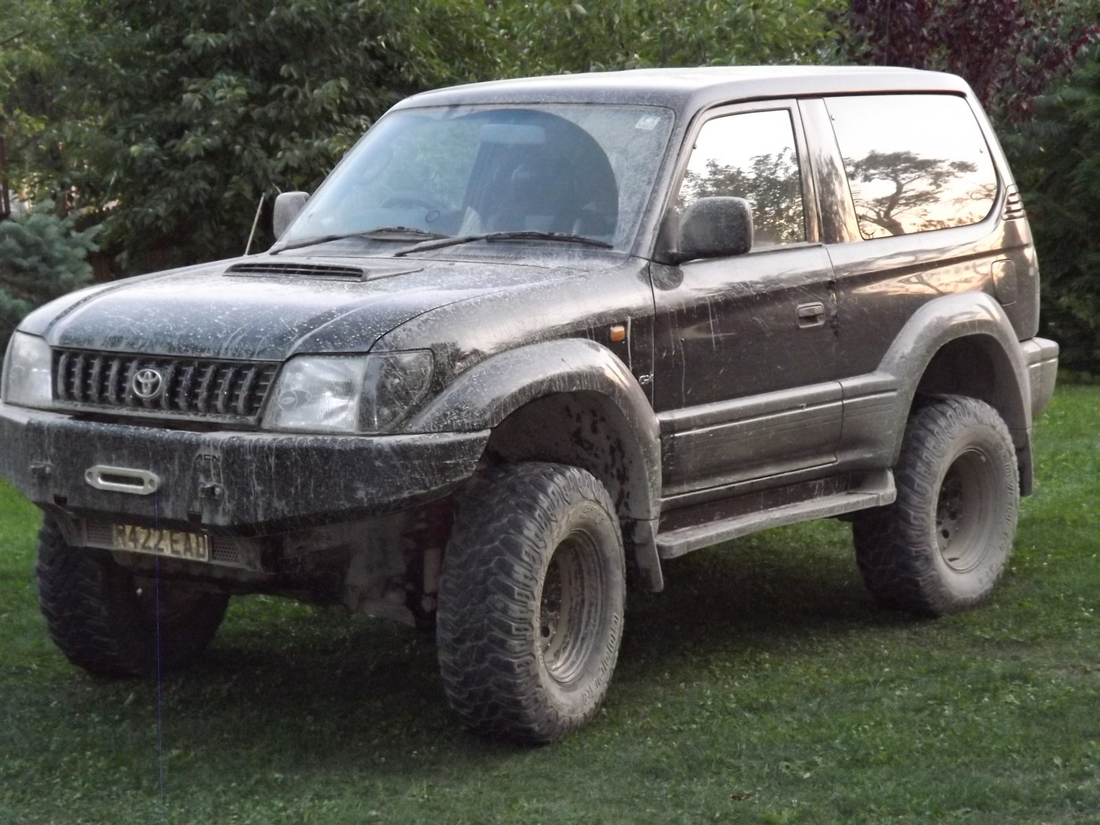 Romania 2016 003.JPG
