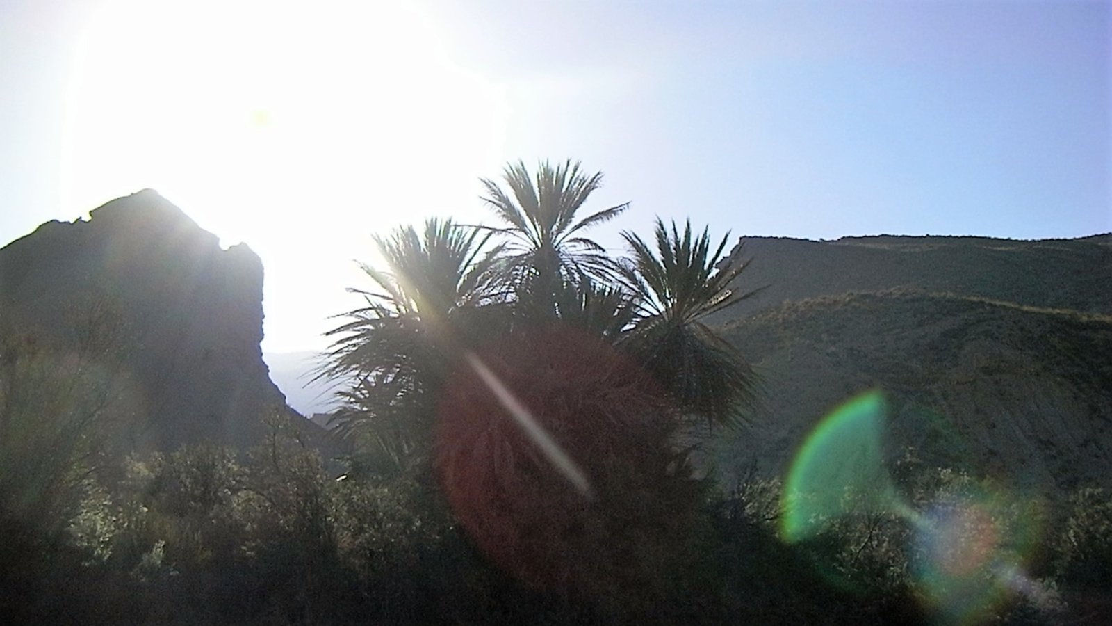 SANY0003 (2).JPG
