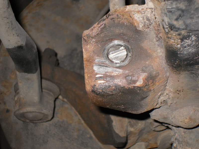 SDC10329.jpg