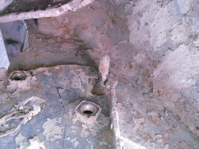 SDC10448.jpg