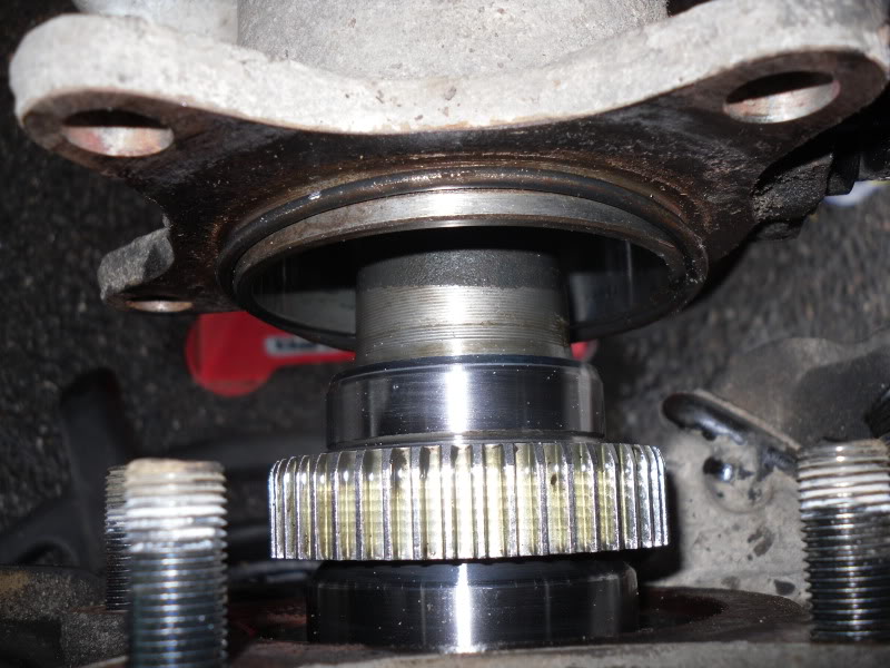 SDC10545.jpg