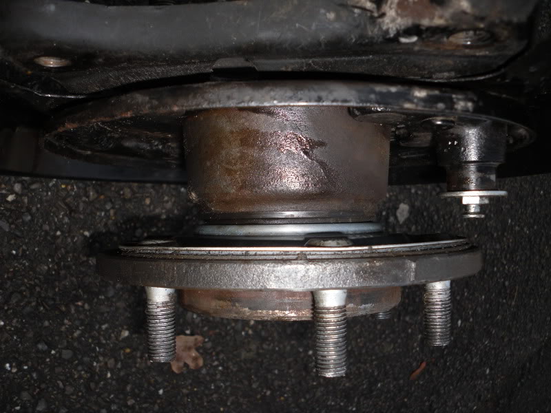 SDC10547.jpg