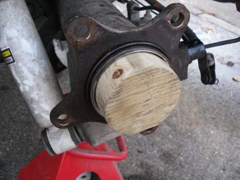 SDC10554.jpg