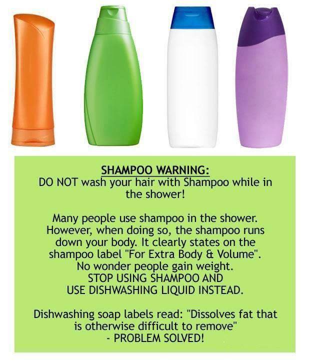 Shampoo.jpg