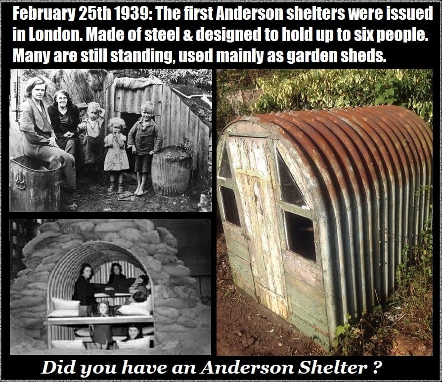 Shelter.jpg