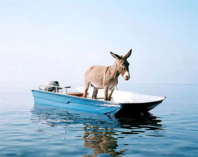 ship3.jpg