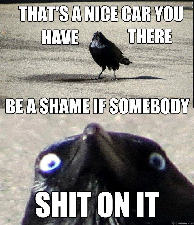shit.jpg