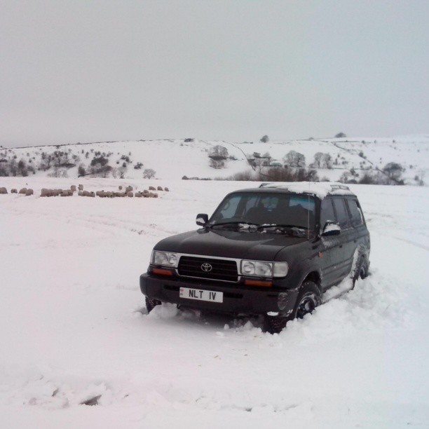 snow fun 4.jpg