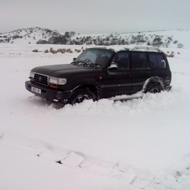 snow fun 5.jpg