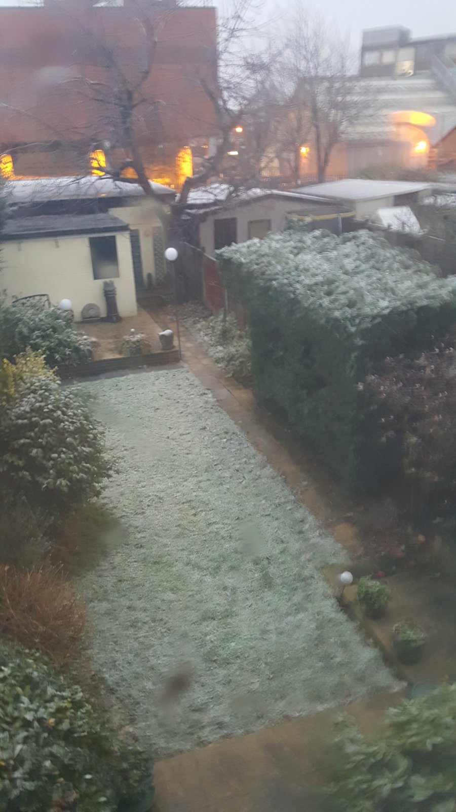 snow.jpg