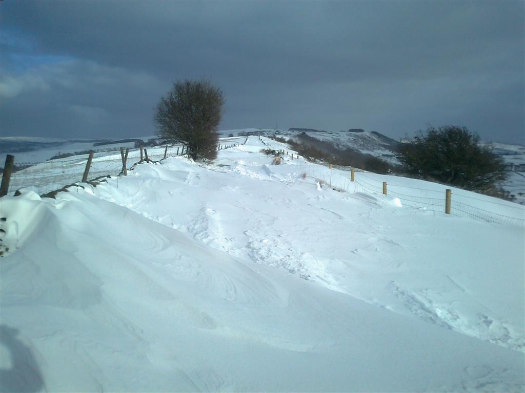 Snow3_zps04d07961.jpg