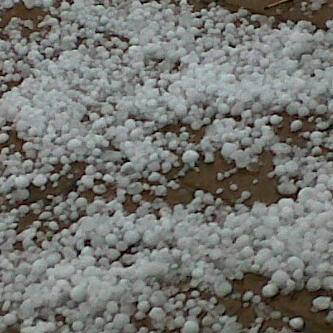 snow4.jpg