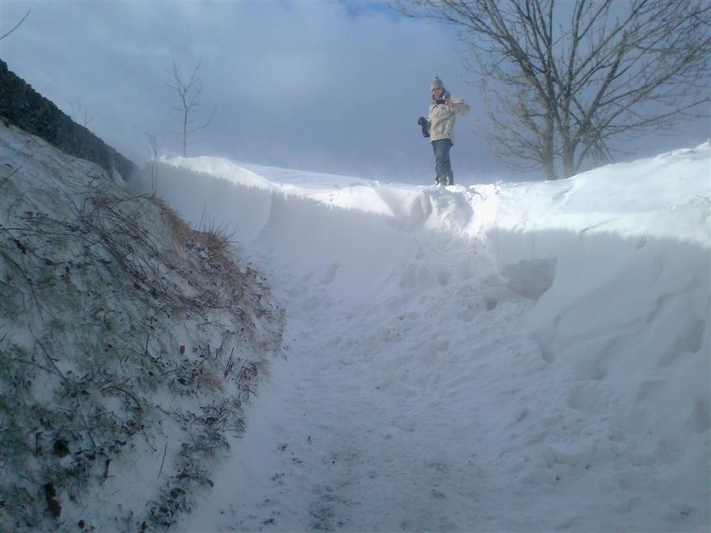 Snow_zpscabad16f.jpg