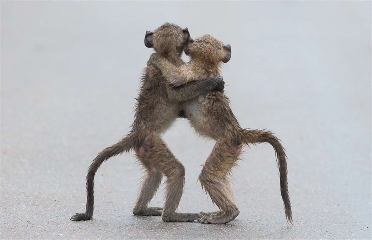 Sometimes you just need a hug.jpg