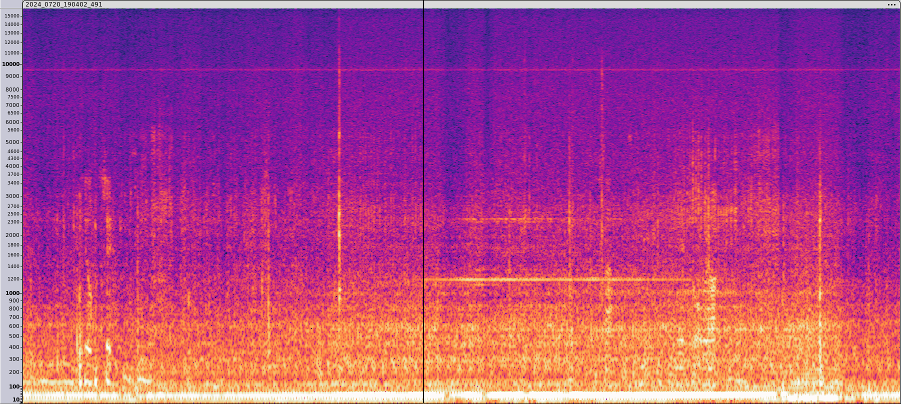 spectrum_Avidemux.png