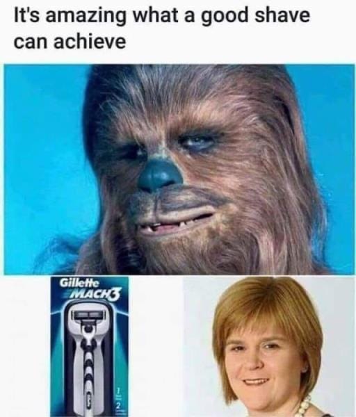 Sturgeon.jpg