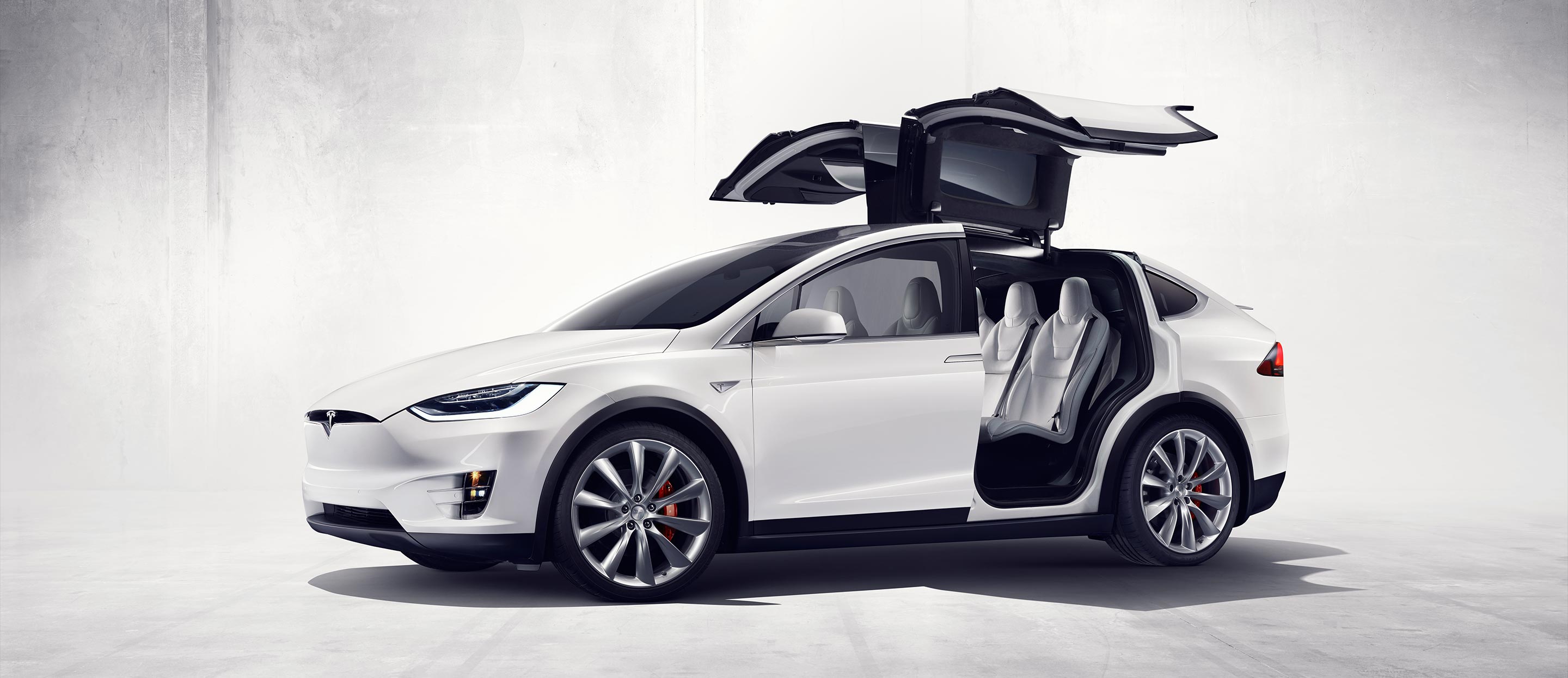 Tesla x.jpg