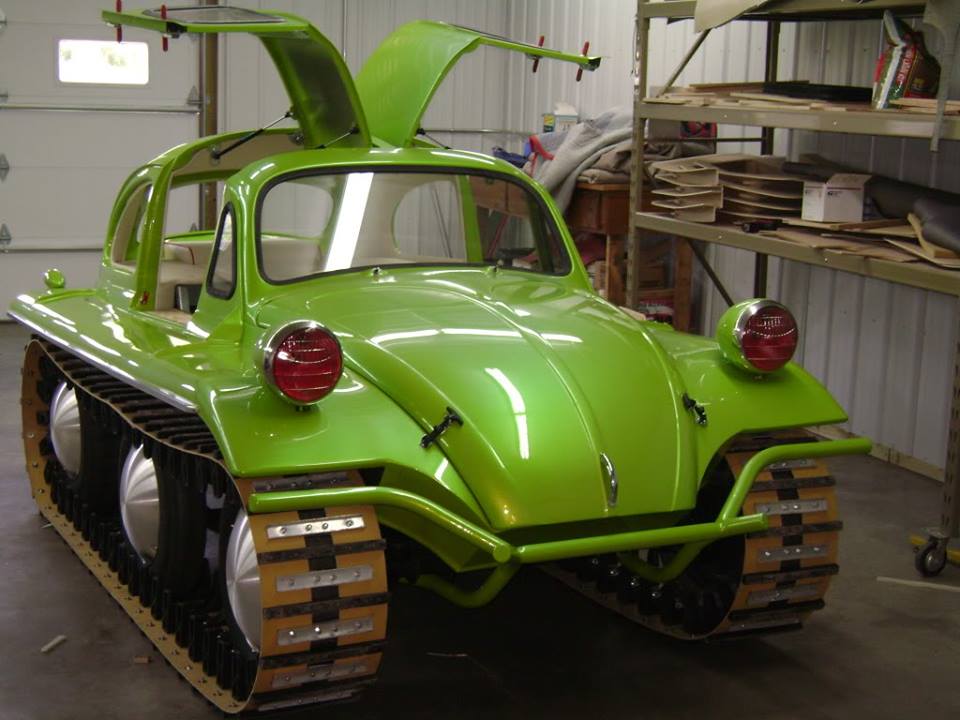 Thats no Beetle. Its a caterpillar..jpg