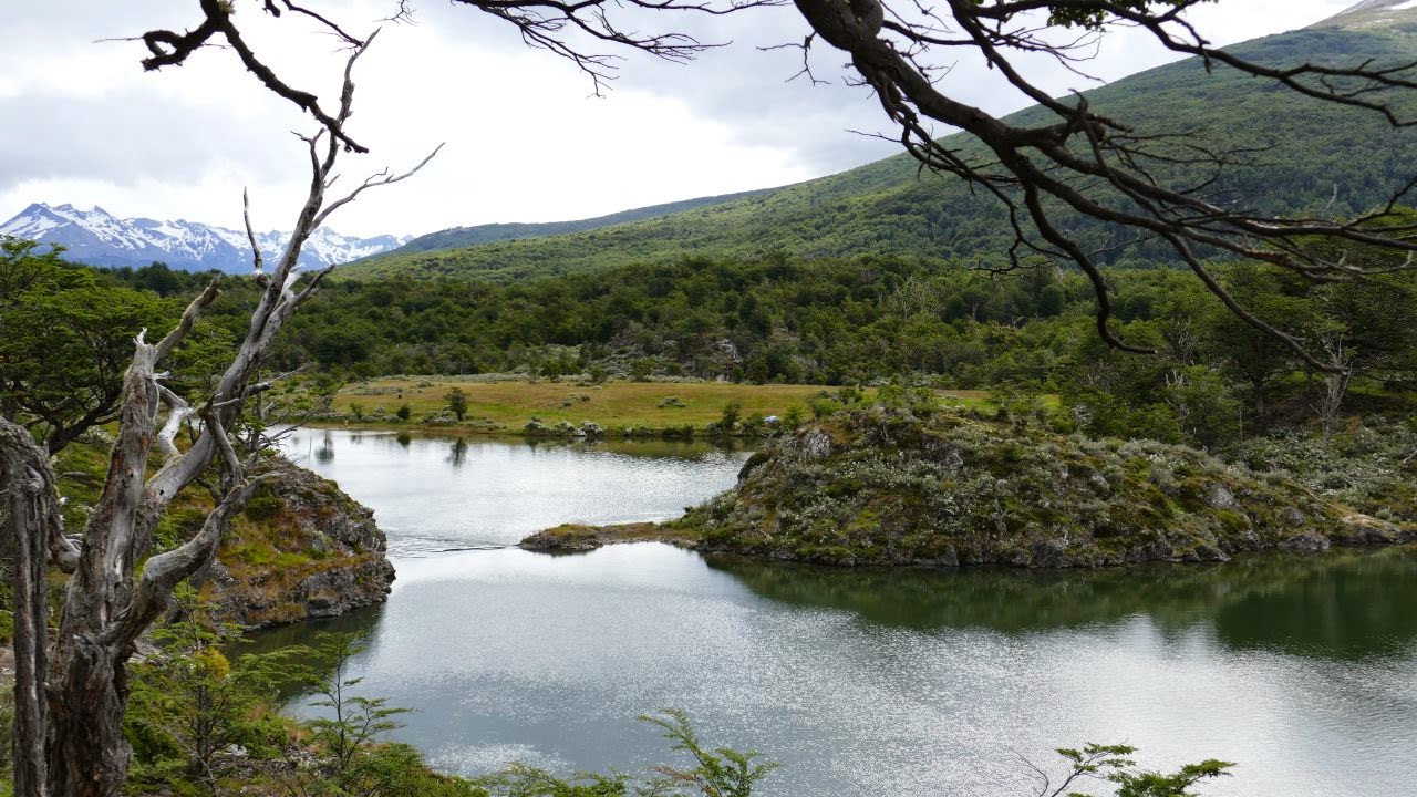 tierra-del-fuego-nationalpark-2.jpg