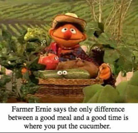 totally.jpg