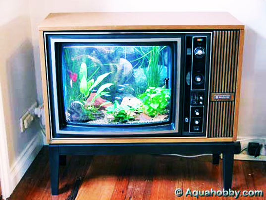 tv-fish-tank.jpg