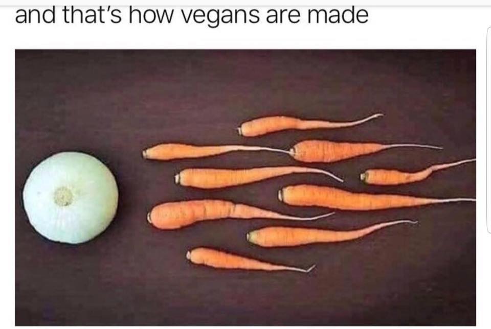 vegan.jpg