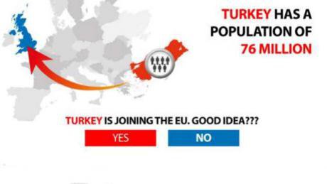 Vote_Leave_Turkey_immigration_ad_0_vuT43tH.width-800.jpg
