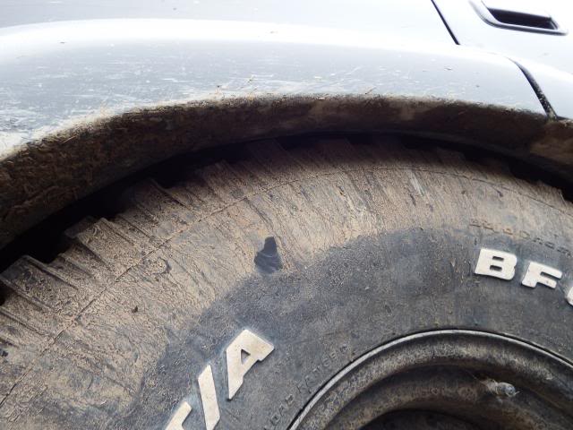wales2014450.jpg