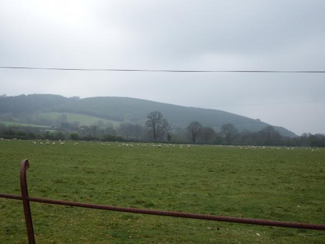 wales2014462.jpg