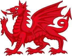 Welsh dragon.jpg