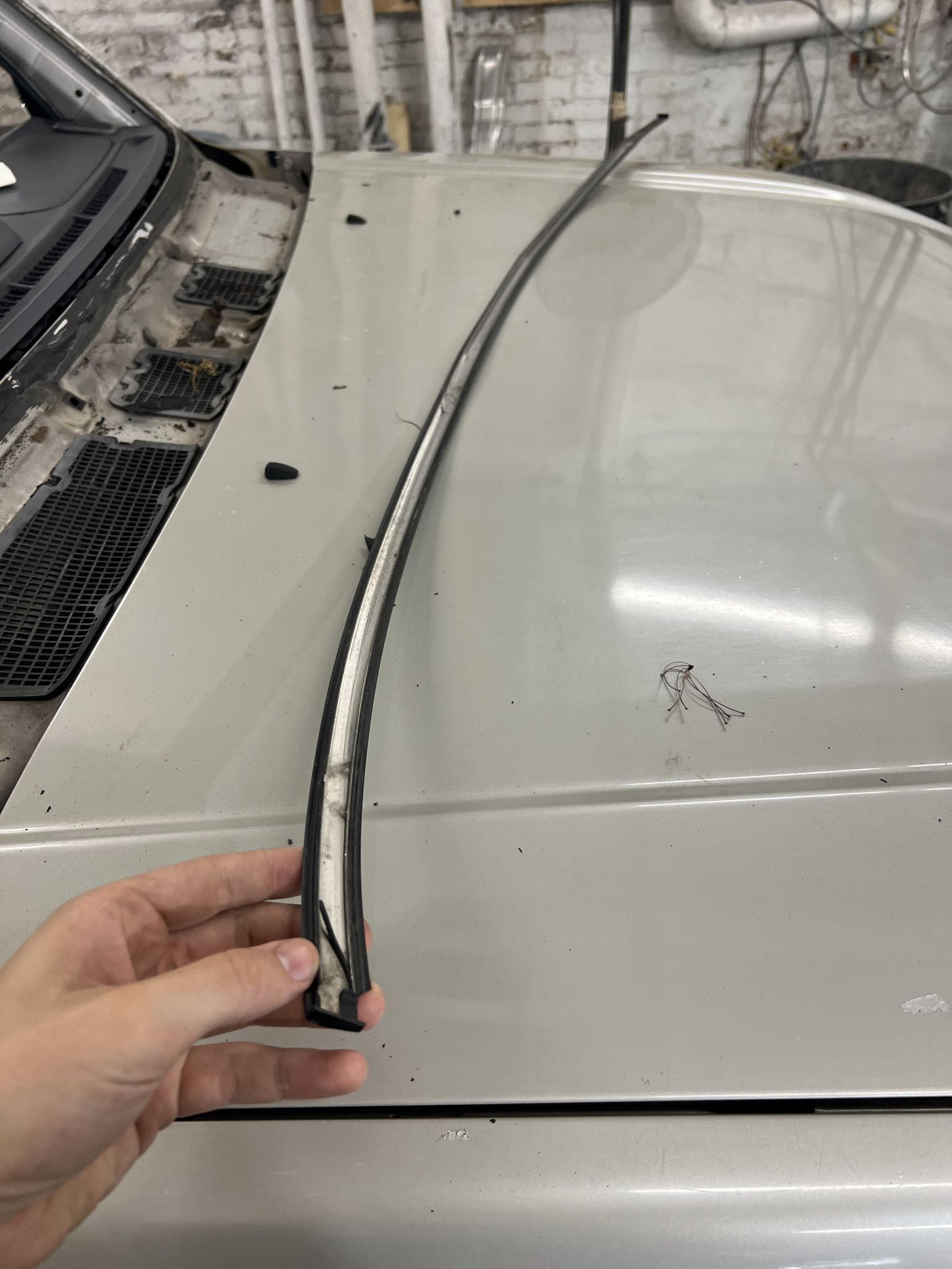 windshield.jpg