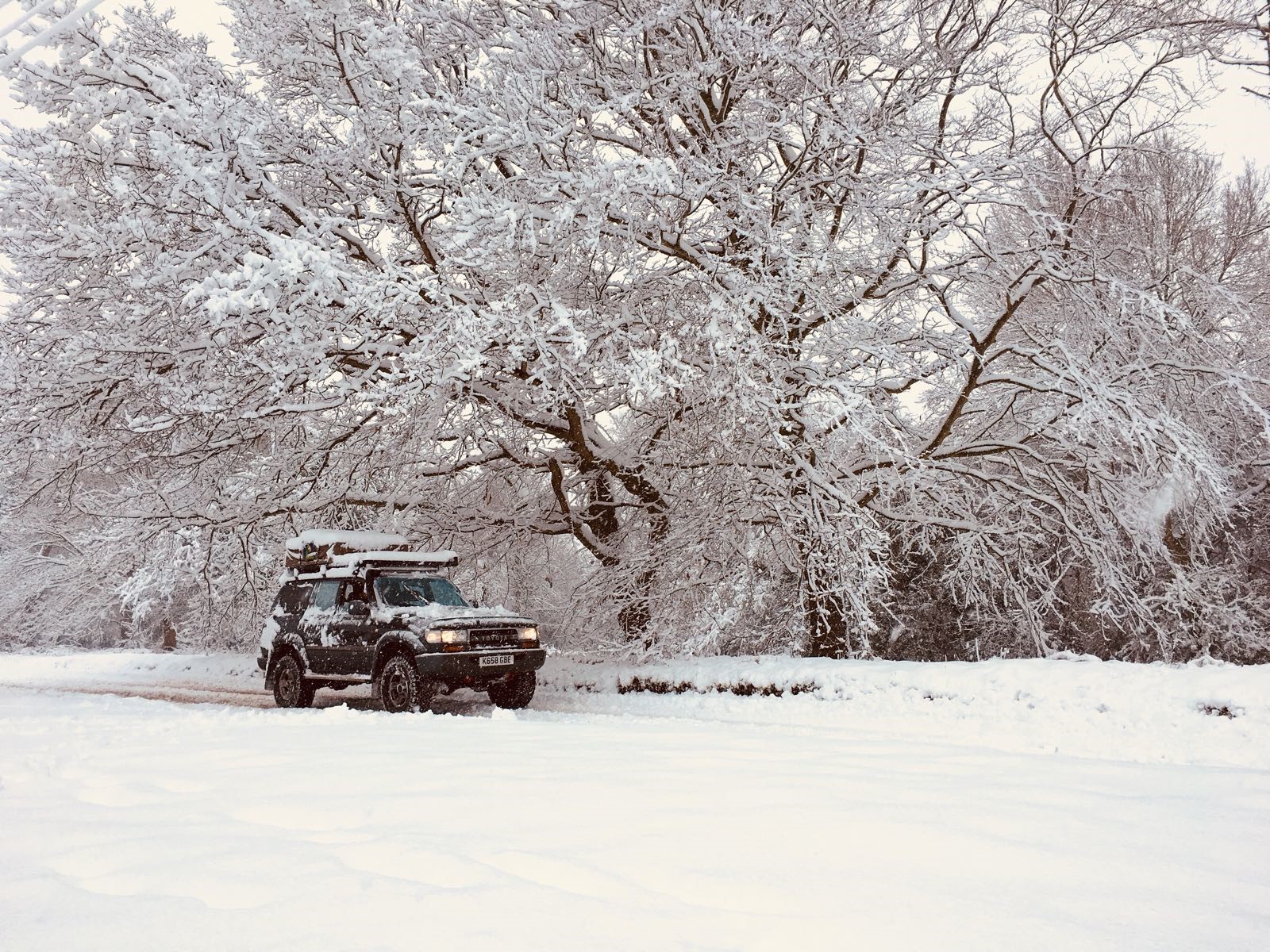 winter.jpg