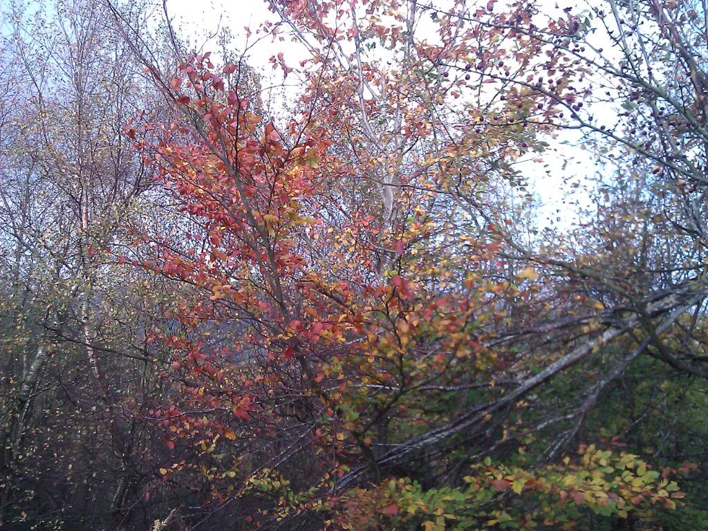 WP_000469.jpg