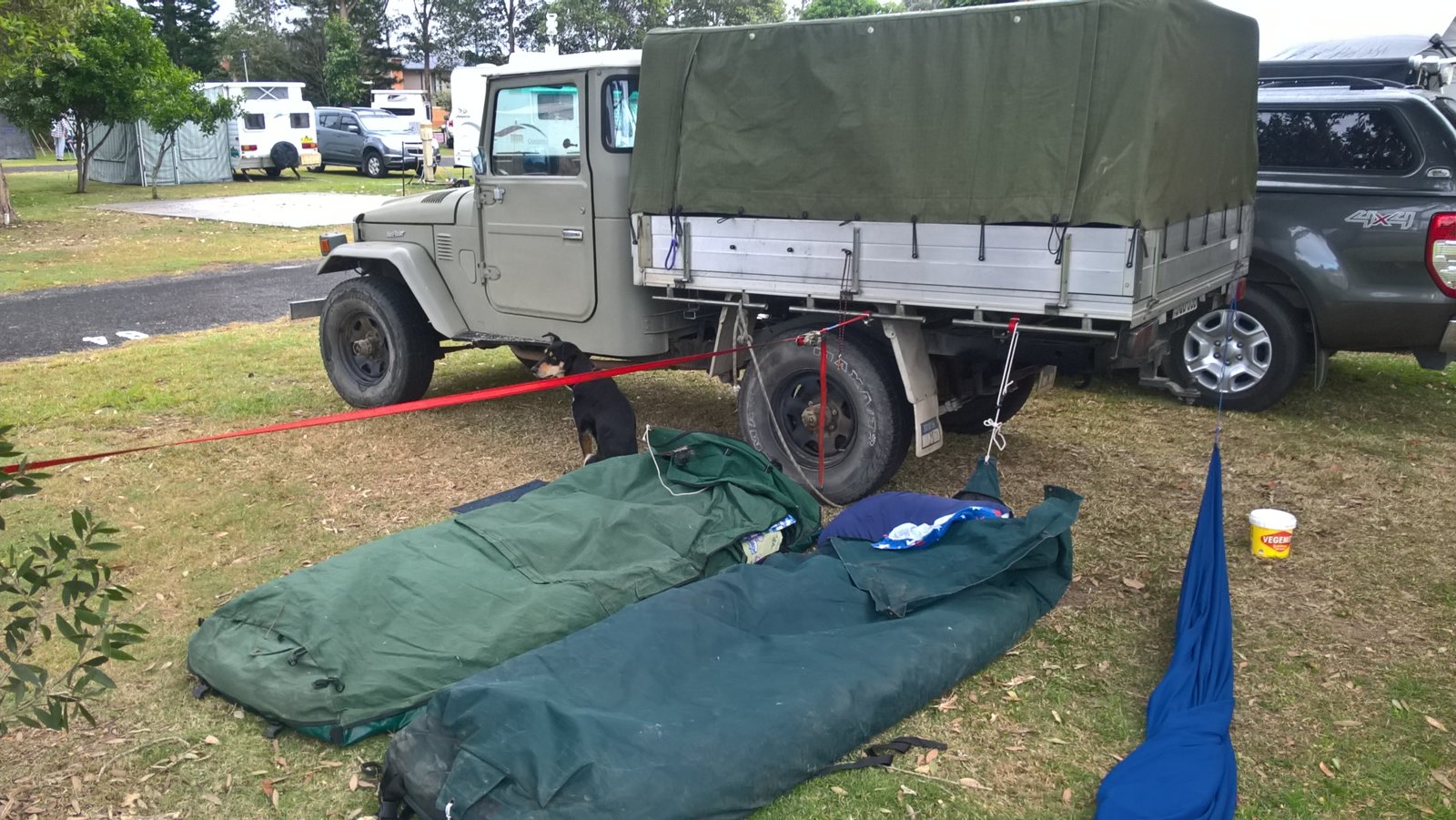 WP_20190602_08_25_12_Pro.jpg