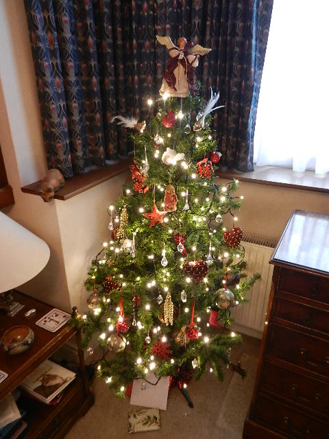 Xmas tree.JPG