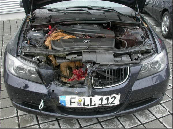 Z4-2.jpg